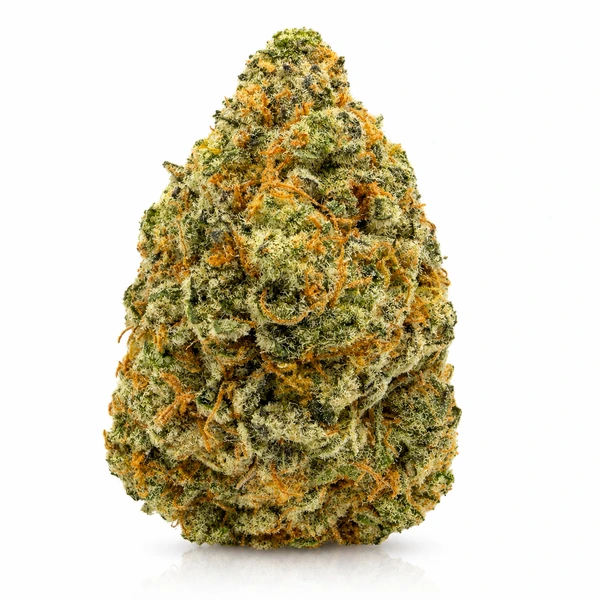 JACK HERRER on the PLANETS 59 delivery menu